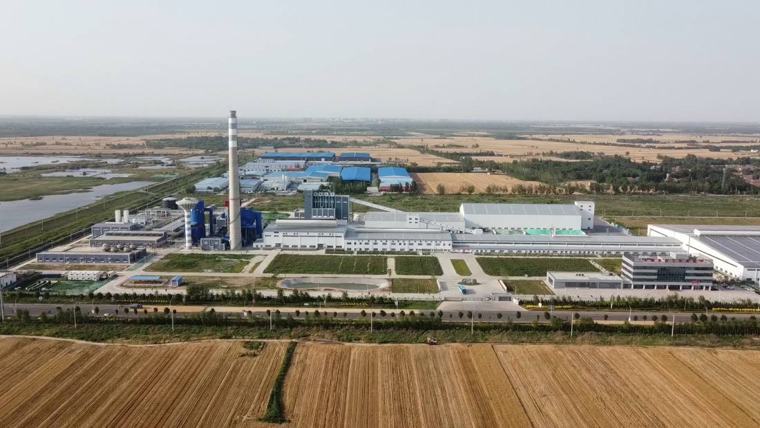 General view of the reference plant